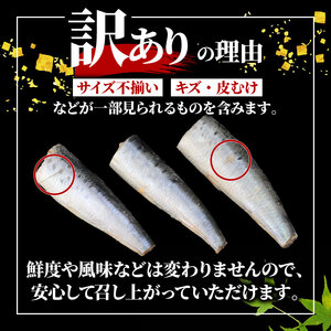 訳あり いわし ドレス 約3kg 無塩 鰯 イワシ