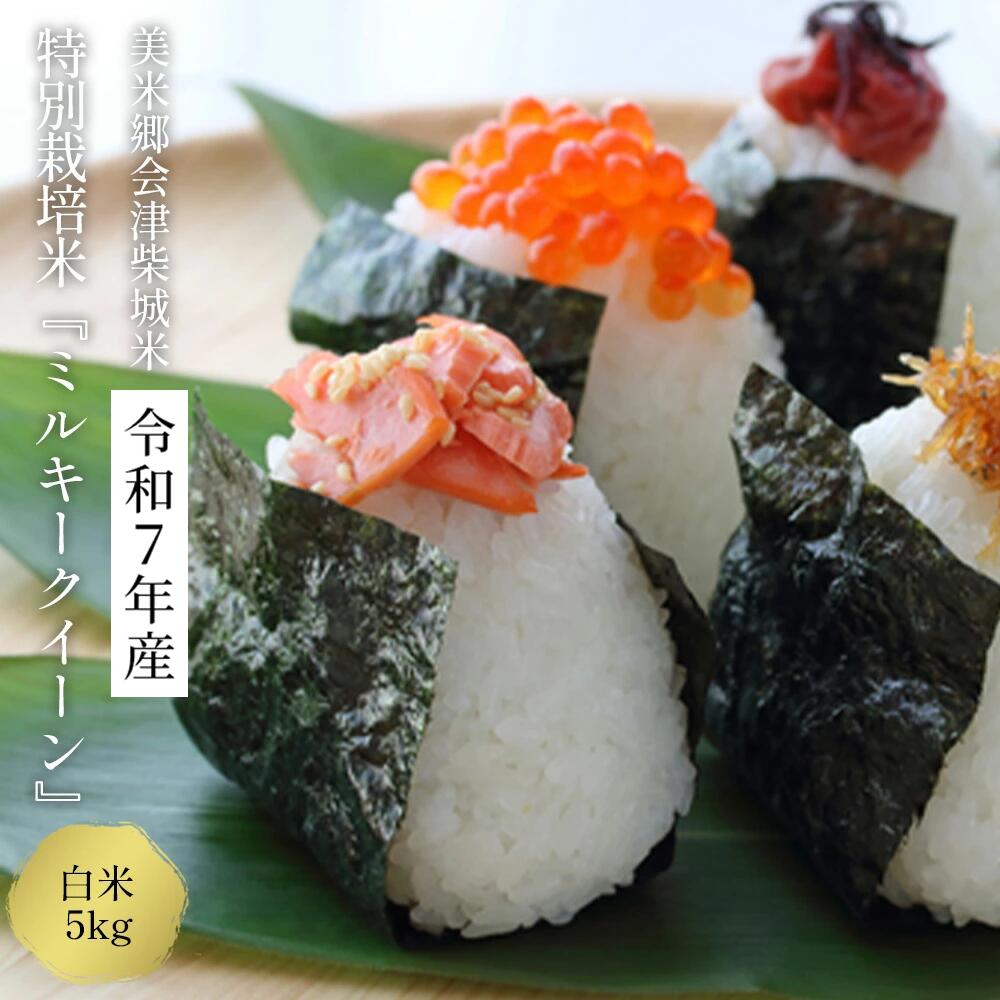 【ふるさと納税】令和7年産　美米郷会津柴城米　特別栽培米ミルキークイーン　白米　5kg　【07208-0437-C】