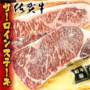 【ふるさと納税】老舗 の 佐賀牛 ステーキ サーロインステーキ 2枚 600g 牛肉 【 限定 100 セット 】(d-60）