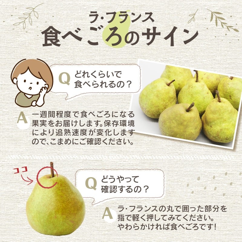 《先行受付》贈答規格「サンふじ」「ラフランス」「はるか」約5kg詰合せ（特秀～秀）【2026年12月上旬～発送予定】