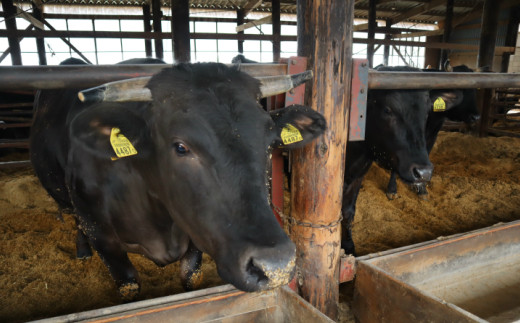 岩手こだわり和牛 胡四の牛王ロースステーキ用 【154】
