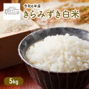 【ふるさと納税】JAS認証米 令和6年産 きらみずき白米 5kg 米 コメ こめ お米 おこめ 白米 きらみずき キラミズキ ブランド米 滋賀県産 国産 グルメ お取り寄せ