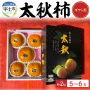 【ふるさと納税】ギフト用 柿 太秋柿 果物 フルーツ 約 2kg 5〜6玉 5L 大玉 国産 宇土市産 ジューシー サクサク 食感 甘い こだわり おすすめ 上品 澤田果物 ギフト 贈答 贈り物 プレゼント お土産 手土産 お取り寄せ 送料無料【熊本県宇土市】