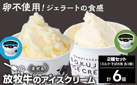 放牧牛 アイスクリーム2種（ミルク・そばの実　各3個）計6個 【池田牧場】 アイス スイーツ デザート 冷凍 卵不使用 北海道ふるさと納税