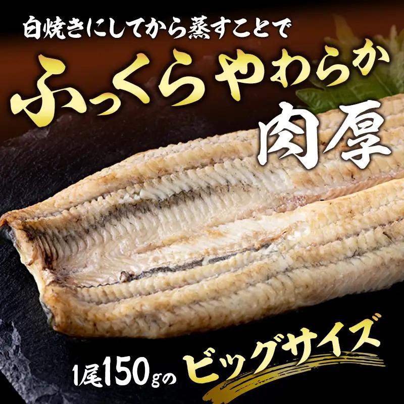 うなぎ 国産 白焼き 金賞 長白焼 2尾 浜名湖産 素焼き うなぎ