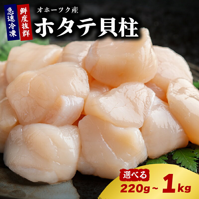 【ふるさと納税】 訳あり ホタテ 220g~1kg 冷凍 真空 小分け 選べる 容量 北海道オホーツク産 帆立貝柱 ほたて貝柱 ホタテ貝柱 貝柱 貝ばしら 惣菜 便利 家庭用 海鮮 魚介 高級 刺身 バター焼き ふるさと納税ホタテ ホタテ貝 人気 ランキング 北海道 美幌町