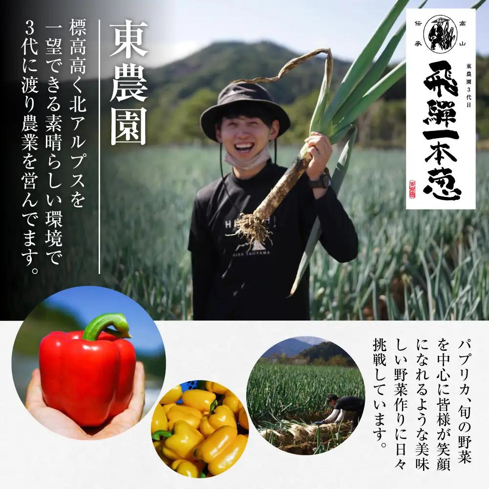 【期間限定】飛騨一本葱 プレミアム5キロ（15本‐20本） 葱 ねぎ JY005