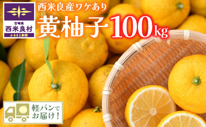 
            【ふるさと納税】【訳あり】黄柚子 100kg　(九州管内軽バンでお届けします ※沖縄県を除く) かんきつ　柑橘　ユズ　ゆず有機栽培　宮崎県 西米良村
          