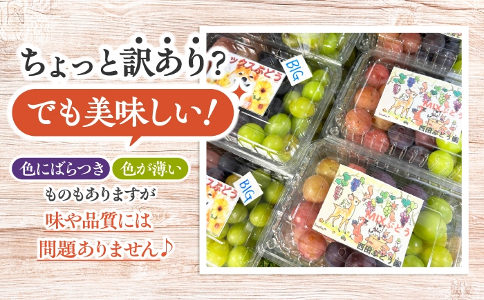 ぶどう ブドウ 葡萄 フルーツ 果物 デザート セット ミックス 3種 2kg 訳あり ピオーネ シャインマスカット 家庭用