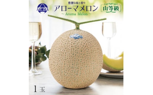 ＜通年出荷＞アローマメロン(山等級) 1玉入＜品格溢れる高級品＞【1170113】