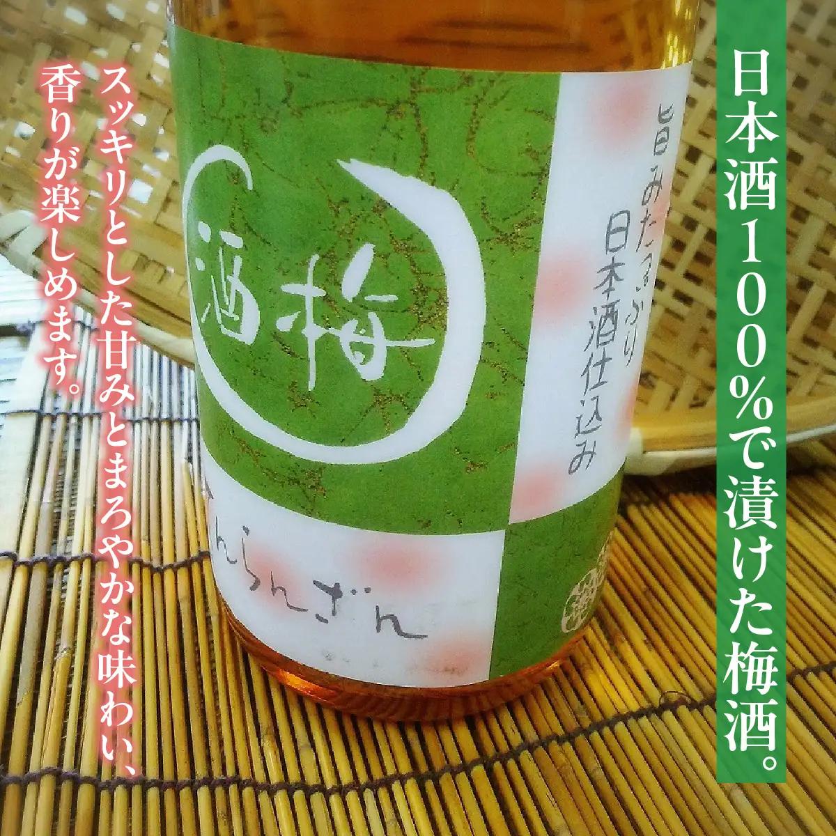 天覧山 日本酒で仕込んだ「梅酒」 1.8L お酒 洋酒 リキュール HNNBG001