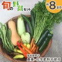 【ふるさと納税】農場なつめやし　旬の野菜セット（栽培期間中、農薬・化学肥料不使用）[814]