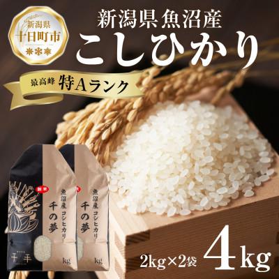 ふるさと納税 十日町市 魚沼産 コシヒカリ 精米 4kg 産地直送 新潟県十日町市