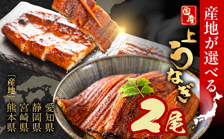 静岡県産 国産うなぎ蒲焼 2尾 うなぎ