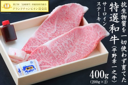 特選和牛＜平野幸一之牛＞サーロインステーキ（200g×2）合計400g＜焼肉薩摩＞【長崎県雲仙市】