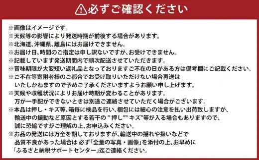 シャインマスカット 晴王 3～6房 計約2kg 【2026年8月下旬～11月下旬迄発送】 岡山 種無し 種なし マスカット 果物 くだもの フルーツ ぶどう ブドウ 葡萄 冷蔵