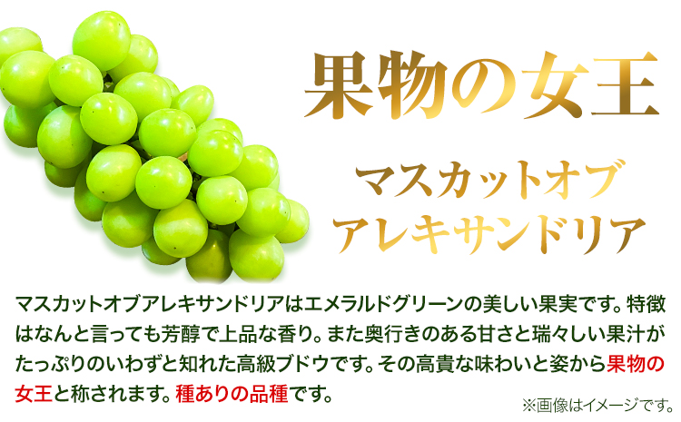 岡山県産マスカット（マスカット オブ アレキサンドリア　1房750g以上）令和7年産先行受付《7月上旬-8月中旬頃出荷》【配送不可地域あり】---H-27a---