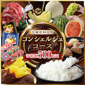 【提案型】コンシェルジュコース(500万円)（000-15）