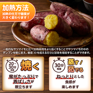 【先行予約】富士美芋 生4.5kg さつまいも 甘い 蜜がたっぷり 加熱後糖度30以上 絶品 栄養豊富 期間限定 富士市 やわらか [sf070-002]