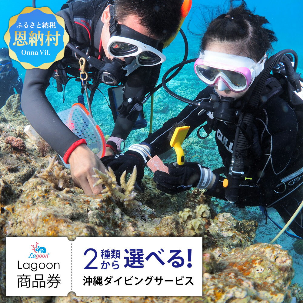 【ふるさと納税】沖縄ダイビングサービス Lagoon商品券 沖縄 人気 おすすめ 券 チケット 体験 商品券 アクティビティ リゾート 万座 ダイビング シュノーケル ダイバー 海 サンゴ カタログ 体験割引 ラグーン 沖縄県 恩納村