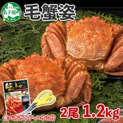 ふるさと納税 弟子屈町 【のし付】毛蟹 姿 2尾 計1.2kg前後 ボイル 蟹ハサミ・ガイド付 北海道 弟子屈町 3335
