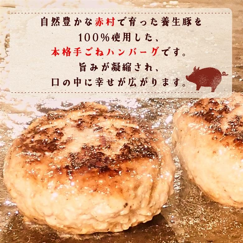 赤村養生館 特製手ごねハンバーグ 8個 B24