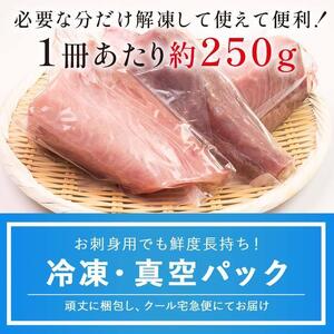 【2025年11月発送】北海道 知床羅臼産 天然ぶり刺身 1.5kg (250g×6パック) 魚 海産物 魚介 魚介類 ブリ 鰤 刺身 ご飯のお供 冷凍 生産者 支援 応援