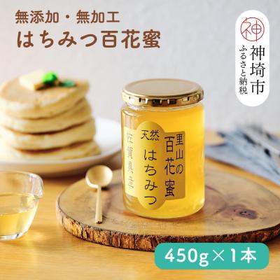 ふるさと納税 神埼市 国産はちみつ(神埼産)百花蜜 450g (H050127) | 