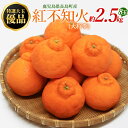 【ふるさと納税】特選大玉 優品紅不知火（大将季） 8玉入り 約2.5kg【山上農園】yamagami-777