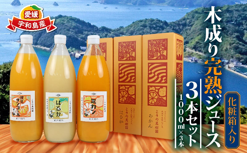 
            完熟 みかんジュース 化粧箱入り 木成り 3本セット 1000ml×3本 こうの果樹園 先行予約 みかん ジュース ストレート ストレートジュース 100%ジュース 果汁 飲料 フルーツ 100％ 甘い さっぱり 蜜柑 ギフト 産地直送 数量限定 国産 愛媛 宇和島  H020-182002
          