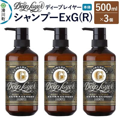 ふるさと納税 滑川町 ディープレイヤー シャンプー ExG 500mL×3個|19_sss-220301