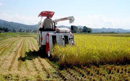 75-3K201新潟県長岡産特別栽培米こしいぶき20kg（5kg×4袋）