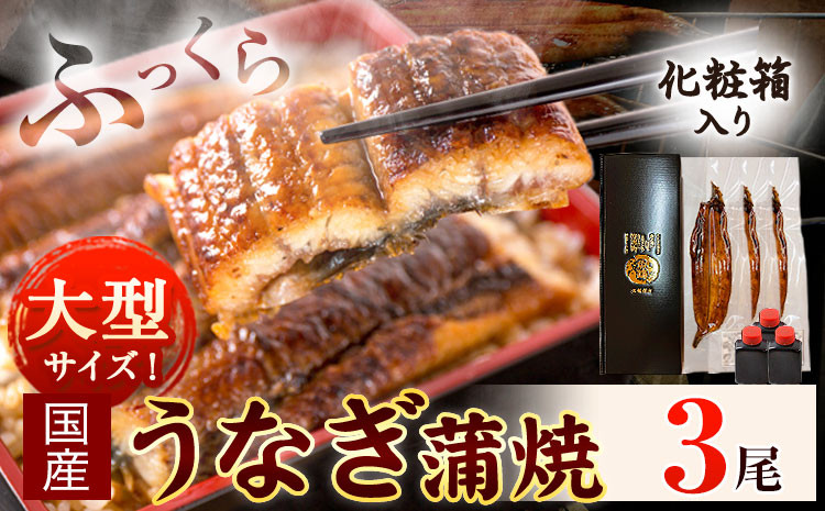 
            大型サイズ ふっくら柔らか国産 うなぎ 蒲焼き 3尾 化粧箱入(真空パック入) 株式会社魚鶴商店《30日以内に出荷予定(土日祝除く)》 和歌山県 日高川町 うなぎ 鰻 ギフト 贈り物
          