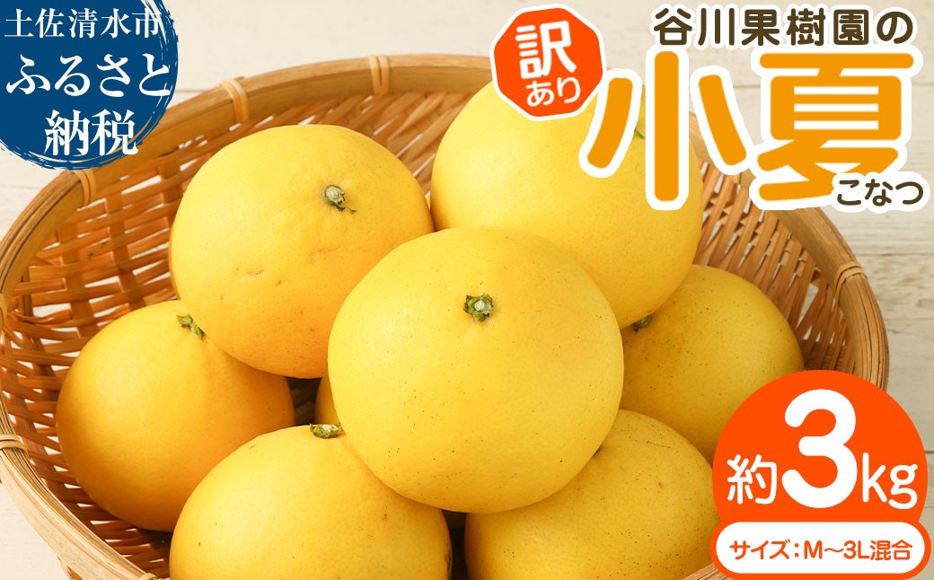 
                  令和9年4月中旬以降発送 <訳あり> 谷川果樹園の小夏3kg 日向夏 みかん 柑橘 フルーツ こなつ ニューサマーオレンジ 果物 美味しい ワケあり 訳 自宅用 おやつ 高知 【R01146】
                