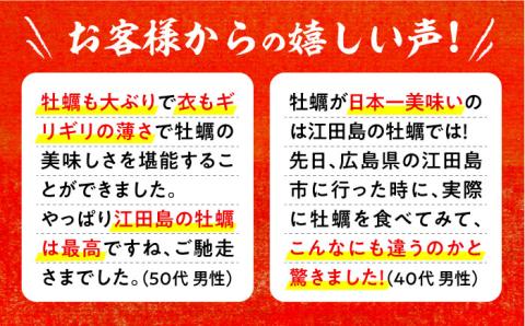 広島G7で提供された牡蠣！【全3回定期便】【広島県産】牡蠣屋さんが作ったこだわりの大粒 カキフライ 20個（瞬間冷凍） ＜マルサ・やながわ水産有限会社＞江田島市[XBL015]