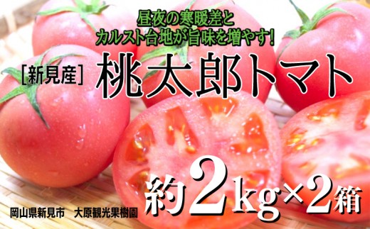 
            大原観光果樹園 桃太郎トマト 約2kg×2箱 【先行予約 2026年7月下旬から順次発送】
          