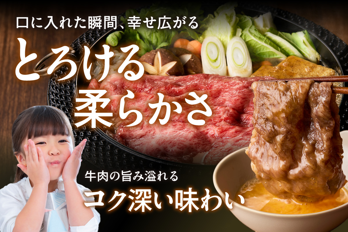 【 佐賀牛 500g 】佐賀牛 艶さし！ しゃぶしゃぶ すき焼き 500g 159-J1366