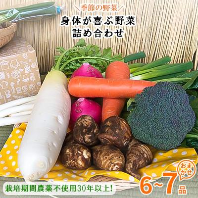 ふるさと納税 行方市 【発送月固定定期便】【ハーフサイズ】栽培期間中農薬不使用『身体が喜ぶ野菜』詰め合わせ全10回