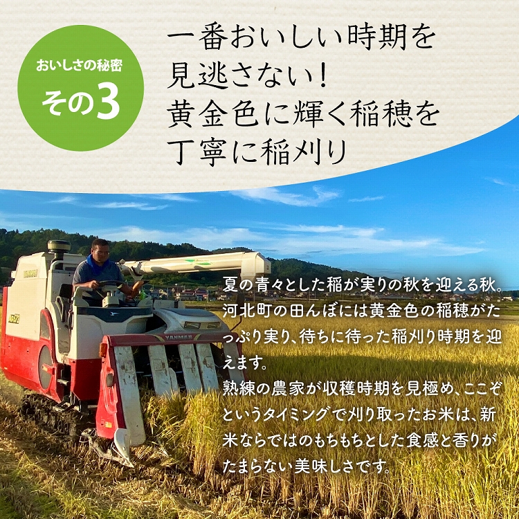 【令和6年産米】※2025年4月下旬スタート※ 特別栽培米 つや姫30kg（10kg×3ヶ月）定期便 山形県産 【JAさがえ西村山】