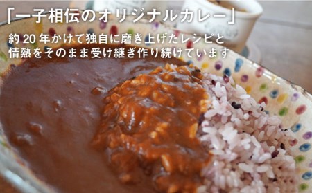 糸島牛の旨みたっぷり！！濃厚海軍カレー10袋《糸島》【ココペリ】[ALE001] カレー 冷凍 食品 牛肉 ビーフカレー レトルト 常備食 糸島牛