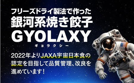 [宇宙に一番近い焼き餃子] 銀河系焼き餃子 GYOLAXY 4個入×3袋 [0322]