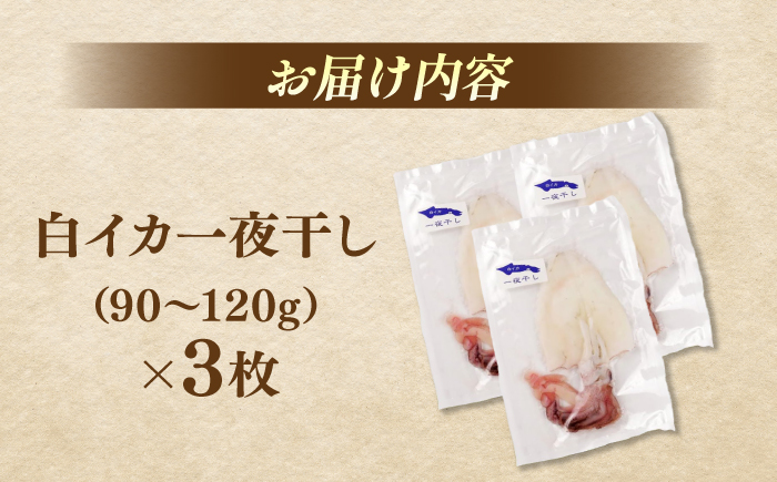 白イカ(ケンサキイカ)の一夜干し3枚セット 島根県松江市/海ひこ株式会社 [ALDY006]