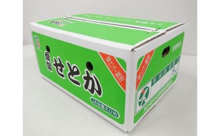 ★300セット限定★ JA特選品 せとか5kg　(赤秀・青秀いずれかL～3L)【EN006_x】