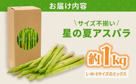 【訳あり】【星のアスパラ】グリーンアスパラガス 約1kg 【サイズ不揃い L～S】 / 訳アリ 規格外 産地直送 アスパラ あすぱら あすぱらがす 採れたて 新鮮 旬 産地直送 / 南島原市 / ほし