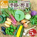 【ふるさと納税】【6か月定期便】定期便 オーガニック 有機 農薬なし ぽんがる有機農園 季節の野菜 詰め合わせ 5kg 【発送時期：5-12月】