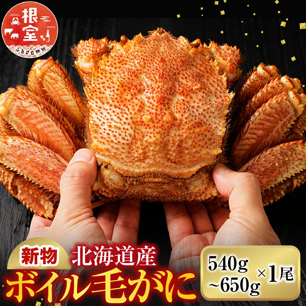 【ふるさと納税】ボイル毛がに540～650g×1尾 B-11120