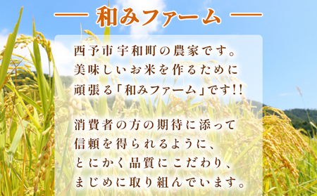 新米＜令和7年産 愛媛県西予市産 コシヒカリ 田んぼダム米 10kg＞ 10キロ こしひかり 西予応援米 宇和米 お米 コメ こめ 白米 精米 米 国産 愛媛県産 宇和町産 和みファーム 愛媛県 西予