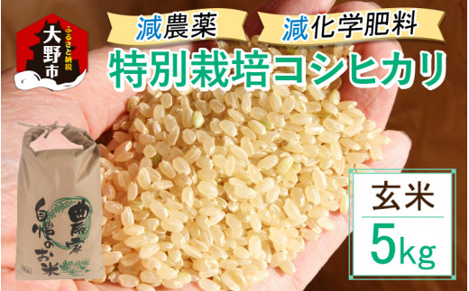 【先行予約】【令和8年産 新米】減農薬・減化学肥料の特別栽培コシヒカリ 玄米 5kg