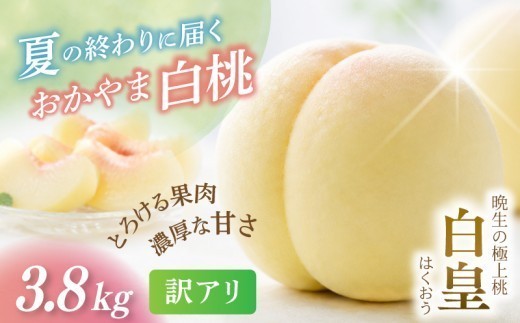 
                  【2026年先行予約】 岡山県産 白皇 3.8kg 訳アリ 白桃 はくおう 花田青果【8月中旬～9月初旬まで順次発送予定】｜ 岡山県 フルーツ もも 桃 モモ 人気 桃 もも 新鮮 旬 真庭市 果物 フルーツ もも 桃 ピーチ 贈答 ギフト 家庭用 期間限定 令和8年発送 もも 桃 モモ momo 桃 岡山 先行予約 白桃 もも 桃 もも モモ 果物フルーツ 訳あり品 岡山県【hnds008】
                