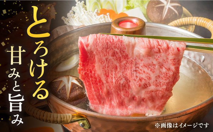 【3回定期便】佐賀牛 A5 堪能セット (しゃぶしゃぶ すき焼き用 ・ 焼肉用) 計1.6kg(400g×4P) 【桑原畜産】 [NAB099] 佐賀牛 肉 精肉 牛肉 佐賀県産 黒毛和牛 しゃぶしゃ